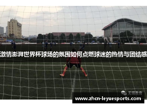 激情澎湃世界杯球场的氛围如何点燃球迷的热情与团结感