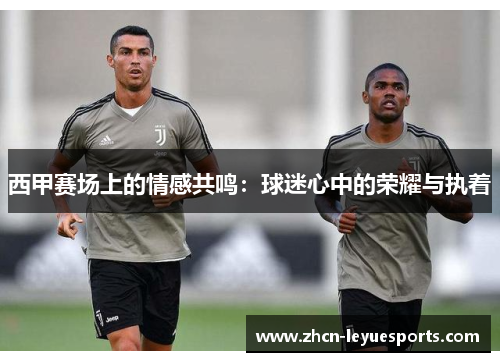 西甲赛场上的情感共鸣：球迷心中的荣耀与执着