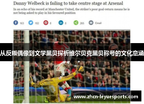 从反叛偶像到文学黑贝探析维尔贝克黑贝称号的文化意涵