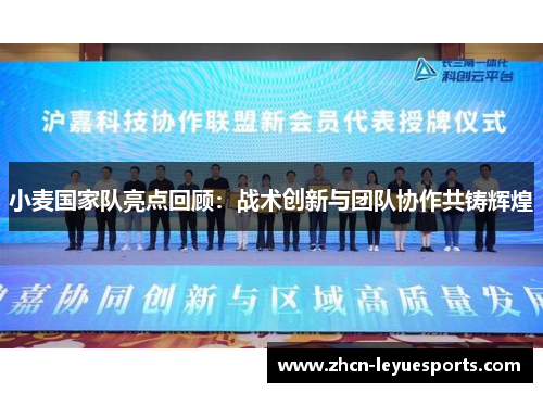 小麦国家队亮点回顾：战术创新与团队协作共铸辉煌